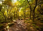 Ian Ruthven_Padley Gorgeous.jpg